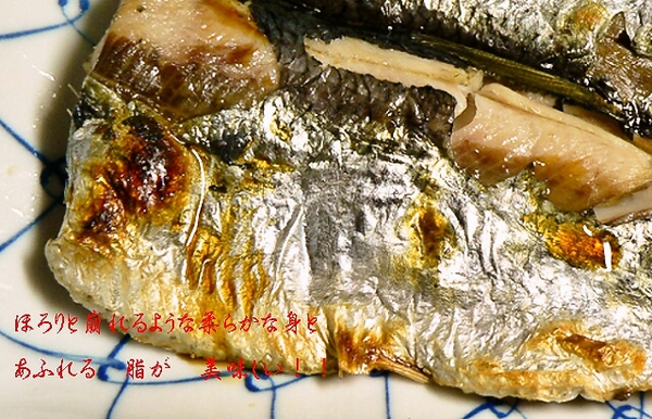 ニシン