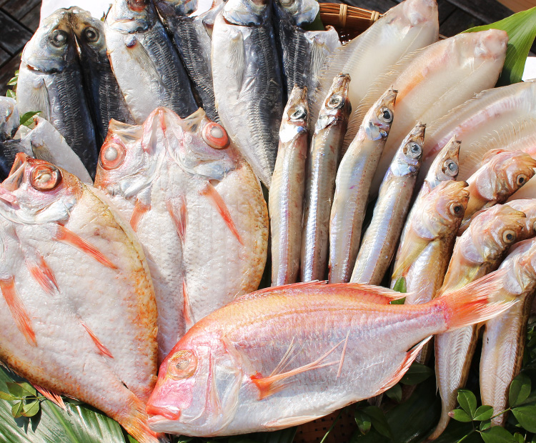 河野乾魚店の干物